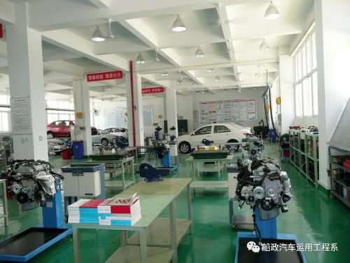 必看 大學專業介紹 十五 帥哥超級多的專業