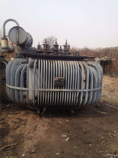 湖南省手表過(guò)期食品銷(xiāo)毀公司聯(lián)系人